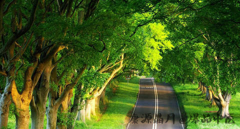 大暑节气的由来和习俗