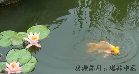 夏至的由来