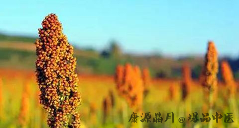 处暑节是哪天