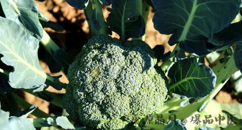 夏至要吃什么