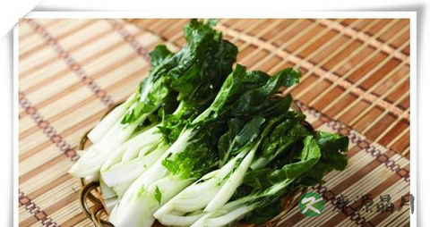 春季吃什么身体好