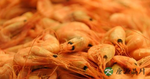 夏季吃虾好吗