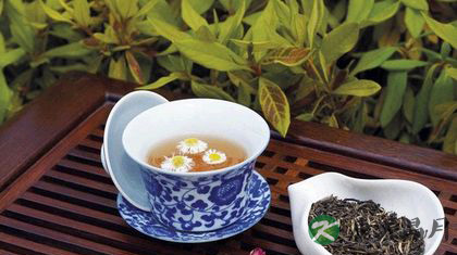 夏天适合喝什么花茶 夏天适合喝什么花茶