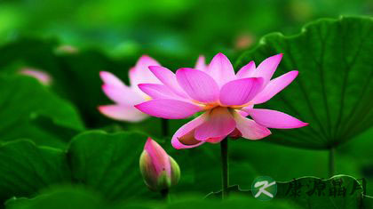 没有空调冰箱 古人怎么过三伏天 没有空调冰箱 古人怎么过三伏天