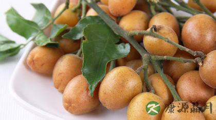 广东7月应季水果大盘点 广东7月应季水果大盘点