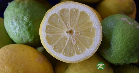 夏季喝什么茶清肠减肥