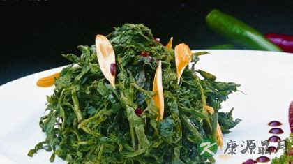 夏季最佳蔬菜大盘点
