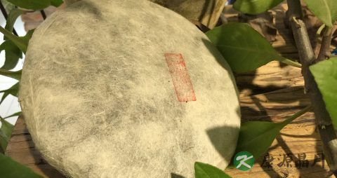 夏季喝普洱上火吗