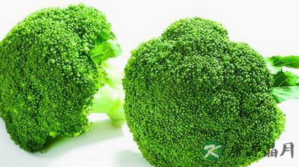 秋季排毒吃22种食物最有效