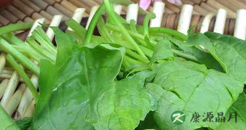 秋季吃什么菜补肝
