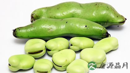 秋天吃什么豆子 九种豆最养生