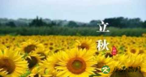 贴秋膘是何意思