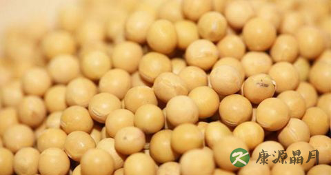 秋天吃什么豆子
