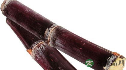 秋天流鼻血吃什么好
