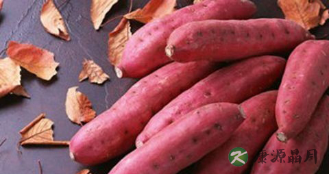 冬天吃什么菜比较好