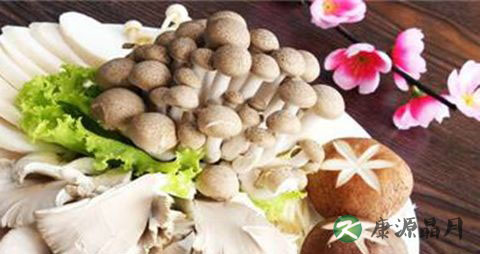 冬季吃什么菜补气