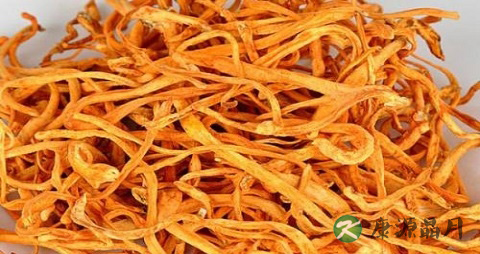 入冬吃虫草花的好处