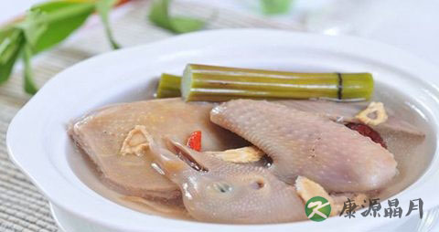 冬季吃鸽子的好处