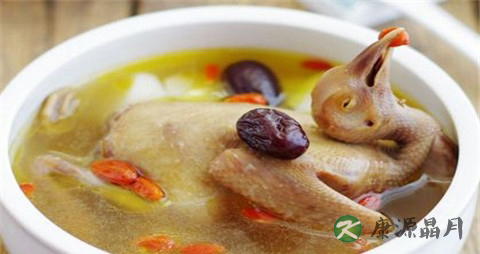 冬季怎么吃鸽子肉