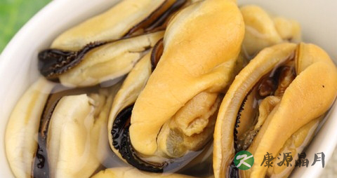 冬季吃壳菜的好处