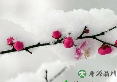 你准备好过冬了吗