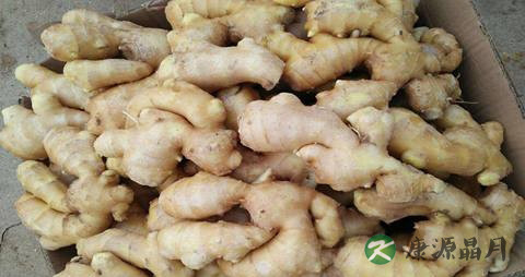 冬天吃子姜的禁忌