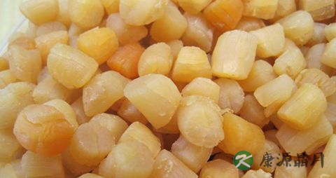 冬天吃干贝的禁忌