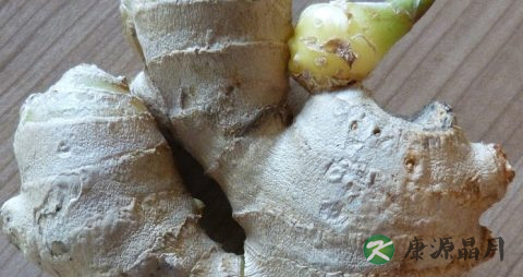 冬天经常吃什么好