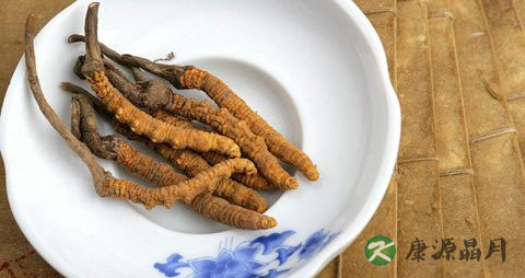 冬季怎么吃冬虫夏草