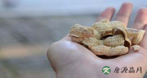 高血压冬季吃什么好