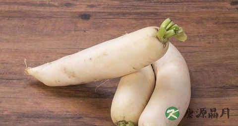 适合冬季吃的菜和做法