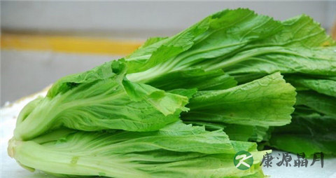 冬季怎么吃芥菜