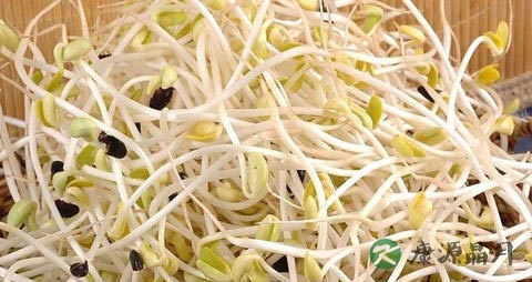 冬季吃什么皮肤好