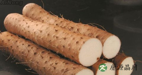 冬天吃什么菜好