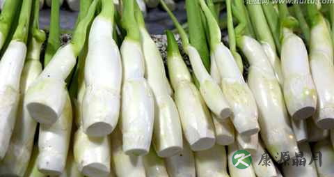 孕妇冬季吃什么蔬菜好