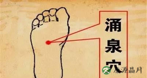 冬季男性壮阳滋补饮食