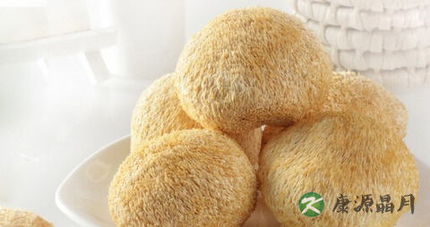 冬季吃猴头菇的禁忌