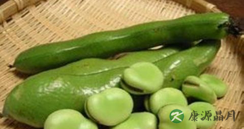 冬季吃什么食物易中毒