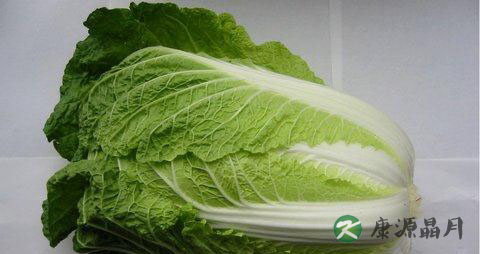 冬季护肤防癌 首选就是大白菜