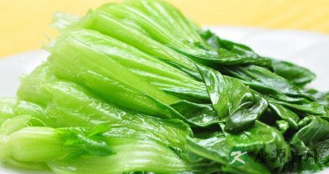 冬天怎么吃减肥效果最好