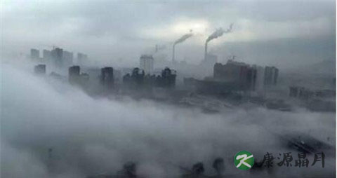 雾霾天气喝什么好
