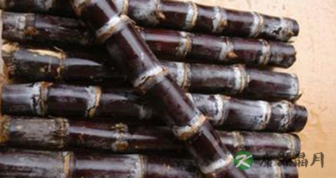 冬天吃什么水果补水