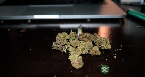 湿疹病人冬季进补膏方