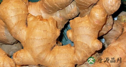 为什么冬天手会冻疮