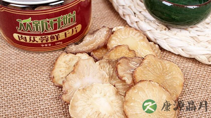 干肉苁蓉怎么吃