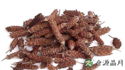 适合甲亢病人的10个食谱及功效