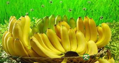 学生睡眠不足的原因