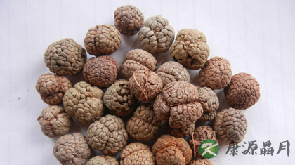 化湿的中药有哪些