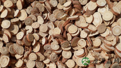 补气的中药有哪些