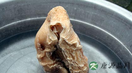 太岁是什么东西